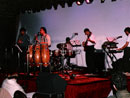 Peter and Chameleon - Auckland Jazz and Blues Festival - 1986